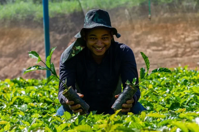 Programa Jovem Empreendedor Rural incentiva juventude no campo em Rondônia