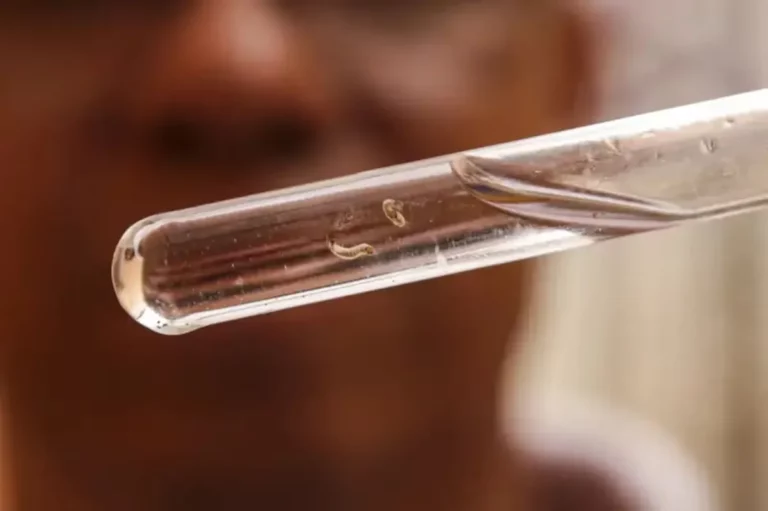 Epidemia de dengue: Brasil registra mais de 6.000 mortes em 2024, maior número da história