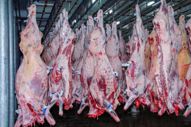 Exportações de carne crescem 20% em Rondônia