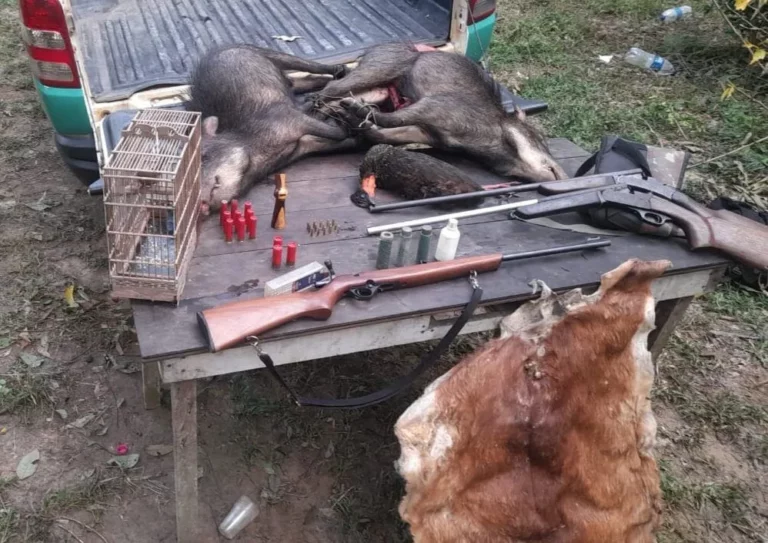 Três pessoas presas por crimes ambientais e porte ilegal de arma em Jaci-Paraná