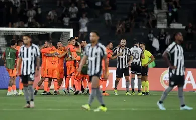 botafogo, barcelona, libertadores