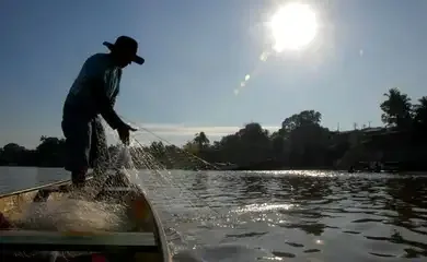 Pescador, peixe , tarrafa, rede de pescaria