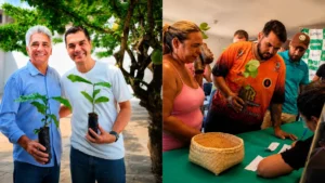 Carlos Freitas anuncia 200 mil mudas de café para agricultores de Cacoal